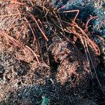 recogida compra hierro valencia